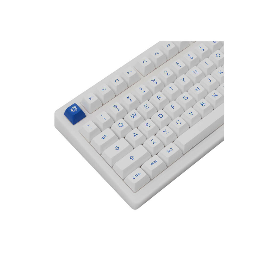 Bàn phím AKKO PC75B Plus Blue on White - Hình ảnh 5